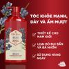  Dầu gội & xả cho nam 2 trong 1 Old Spice Relax - 650ml 