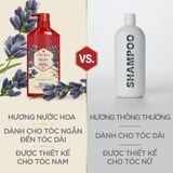  Dầu gội & xả cho nam 2 trong 1 Old Spice Relax - 650ml 
