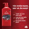  Dầu gội nam Old Spice Night Panther - 650ml 