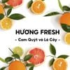  Sáp khử mùi ngăn mồ hôi Old Spice Fresh (sáp xanh) - 85g 