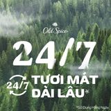  Sáp khử mùi Old Spice Timber (sáp xanh) - 85g 
