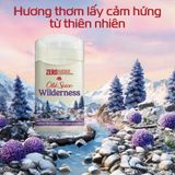  Sáp khử mùi Old Spice Wilderness (sáp xanh) - 85g 