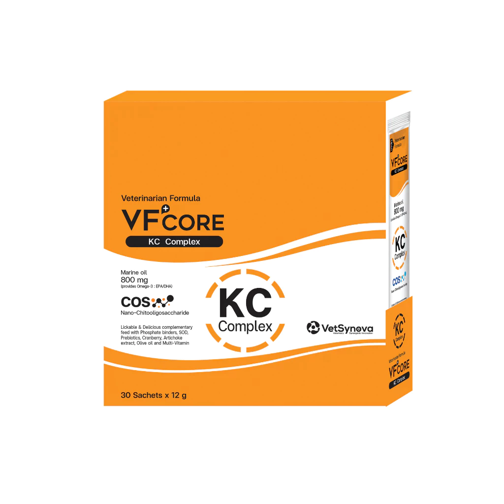  VF Core KC hỗ trợ thận cho chó mèo gói 12g 