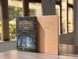  Bát Chánh Đạo - Con Đường Dẫn Đến Sự Chấm Dứt Khổ Đau 