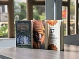  37 Phẩm Trợ Đạo + Bát Chánh Đạo + Tứ Diệu Đế 