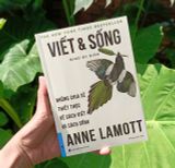  Viết Và Sống - Những Chia Sẻ Thiết Thực Về Cách Viết Và Cách Sống 