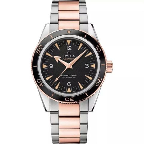 Omega Seamaster 300 Master Co-Axial Chronometer 233.20.41.21.01.001 (41mm) demi Sedna Gold 18K