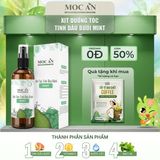 Xịt Dưỡng Tóc Tinh Dầu Bưởi Bạc Hà (Mint) Mộc Ân Haircare 120ml