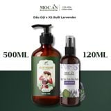  [16 Loại DG Combo Dầu Gội Phủ Bạc Thảo Dược Bồ Kết 500ml &  Xịt Dưỡng Tóc Tinh Dầu Bưởi Mộc Ân Haircare 120ml 