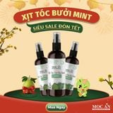 X3BMI120 - Combo 3 Chai Xịt Tinh Dầu Vỏ Bưởi Da Xanh & Tinh Dầu Bạc Hà Mộc Ân Haircare 120ml Hỗ Trợ Giảm Rụng, Mọc Tóc Chăm Sóc Tóc