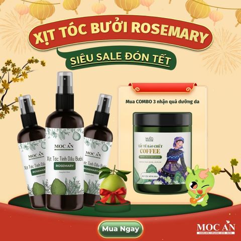 X3BRO120 - Combo 3 Chai Xịt Tinh Dầu Vỏ Bưởi Da Xanh & Tinh Dầu Hương Thảo Mộc Ân Haircare 120ml Hỗ Trợ Giảm Rụng, Mọc Tóc Chăm Sóc Tóc