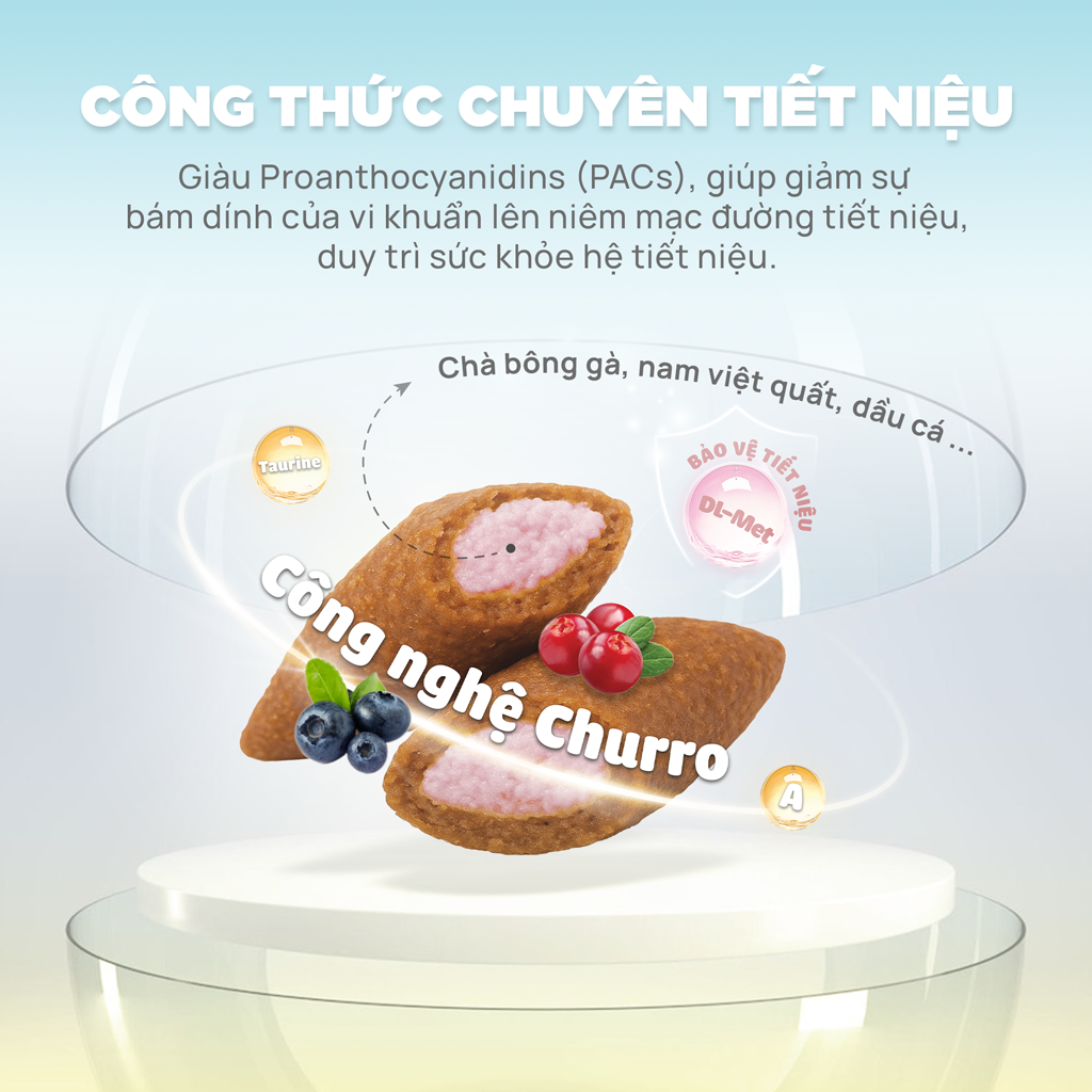 Thức ăn hạt cho mèo Churro C90U PetQ
