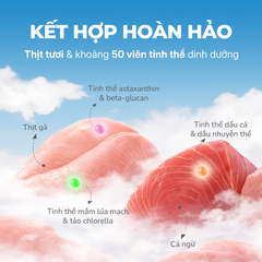 Pate viên tinh thể chức năng cho mèo Faenbei