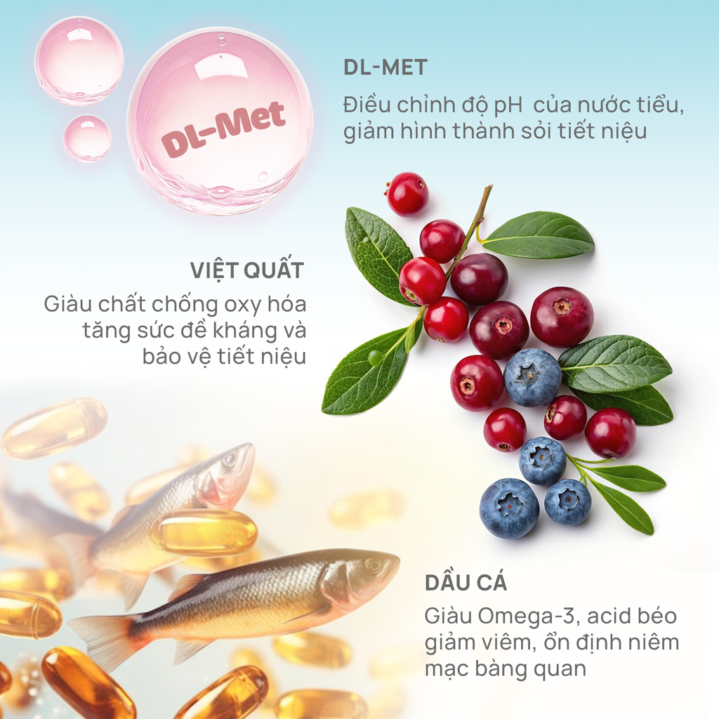 Thức ăn hạt cho mèo Churro C90U PetQ