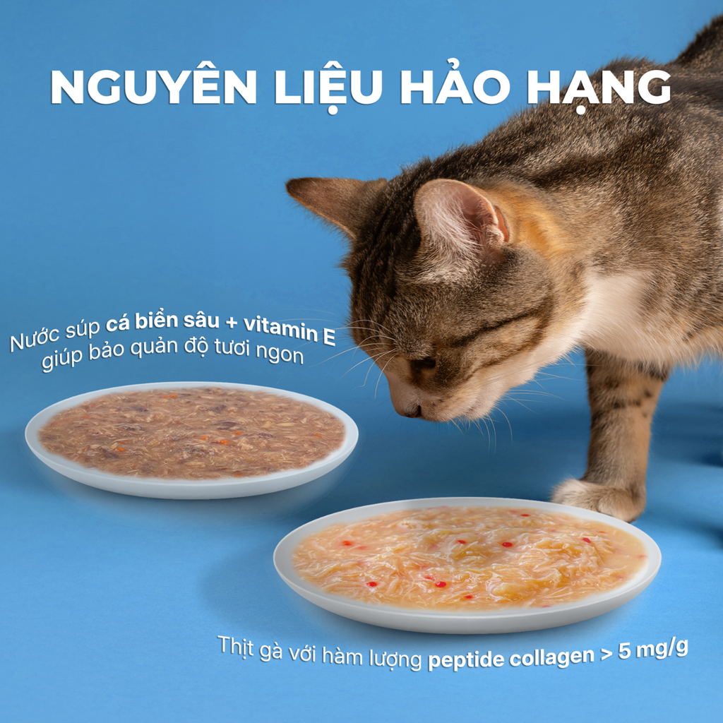 Pate viên tinh thể chức năng cho mèo Faenbei