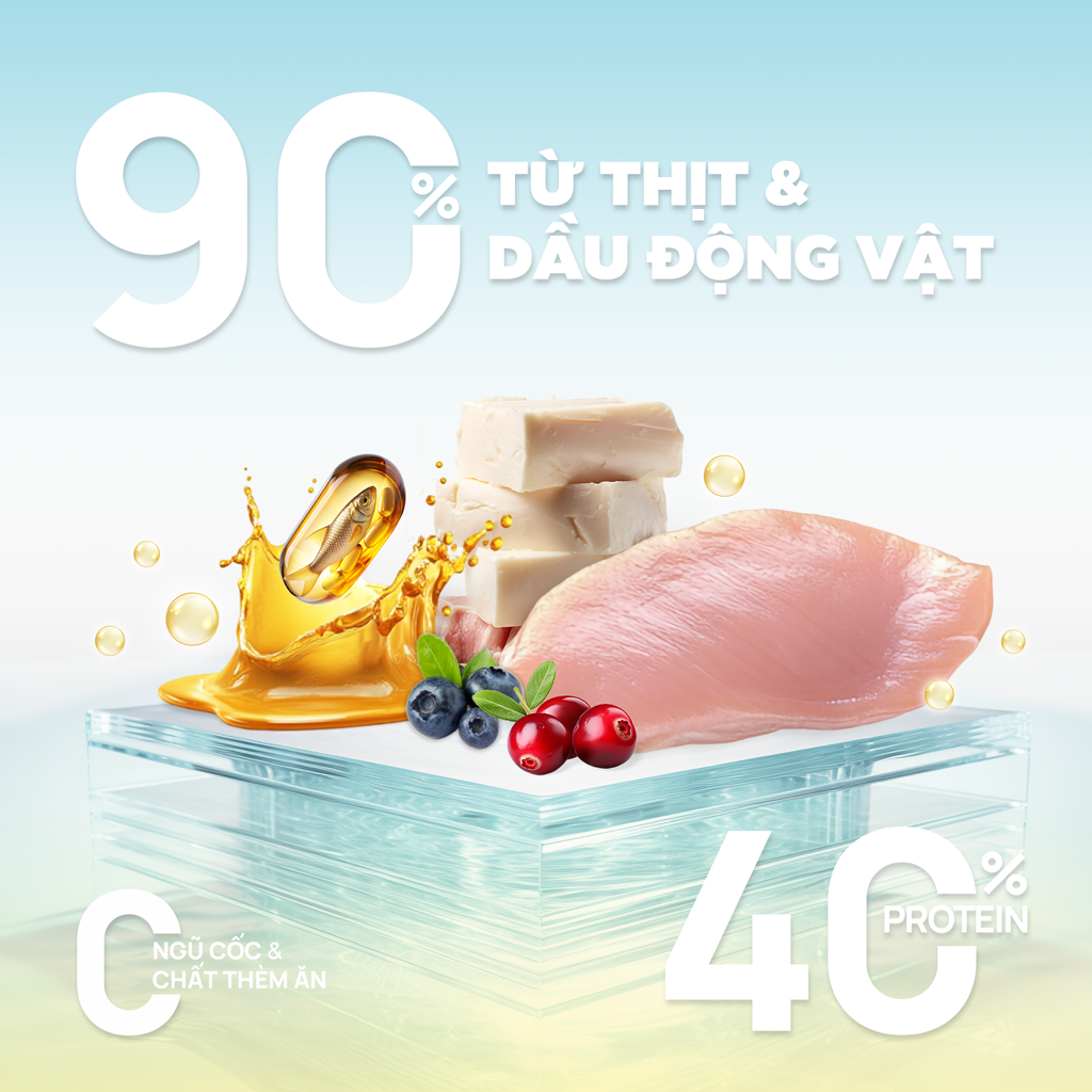 Thức ăn hạt cho mèo Churro C90U PetQ