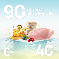 Thức ăn hạt cho mèo Churro C90U PetQ