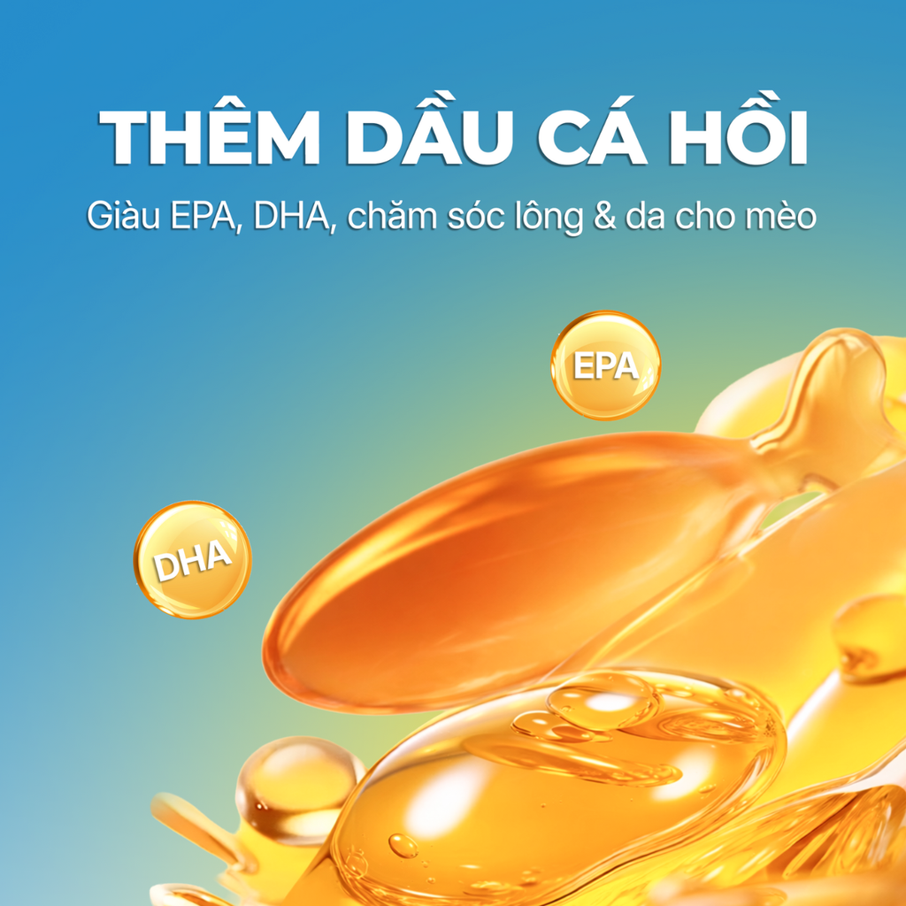 Pate lon hàm lượng thịt cao cho mèo Faenbei