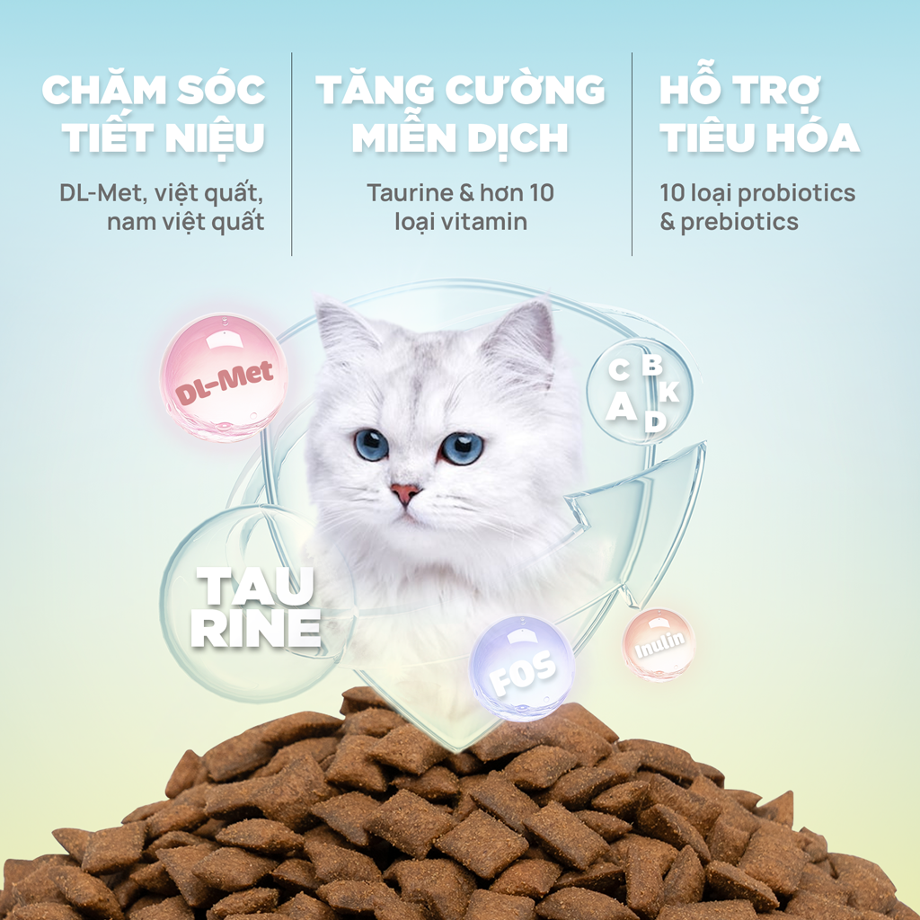 Thức ăn hạt cho mèo Churro C90U PetQ