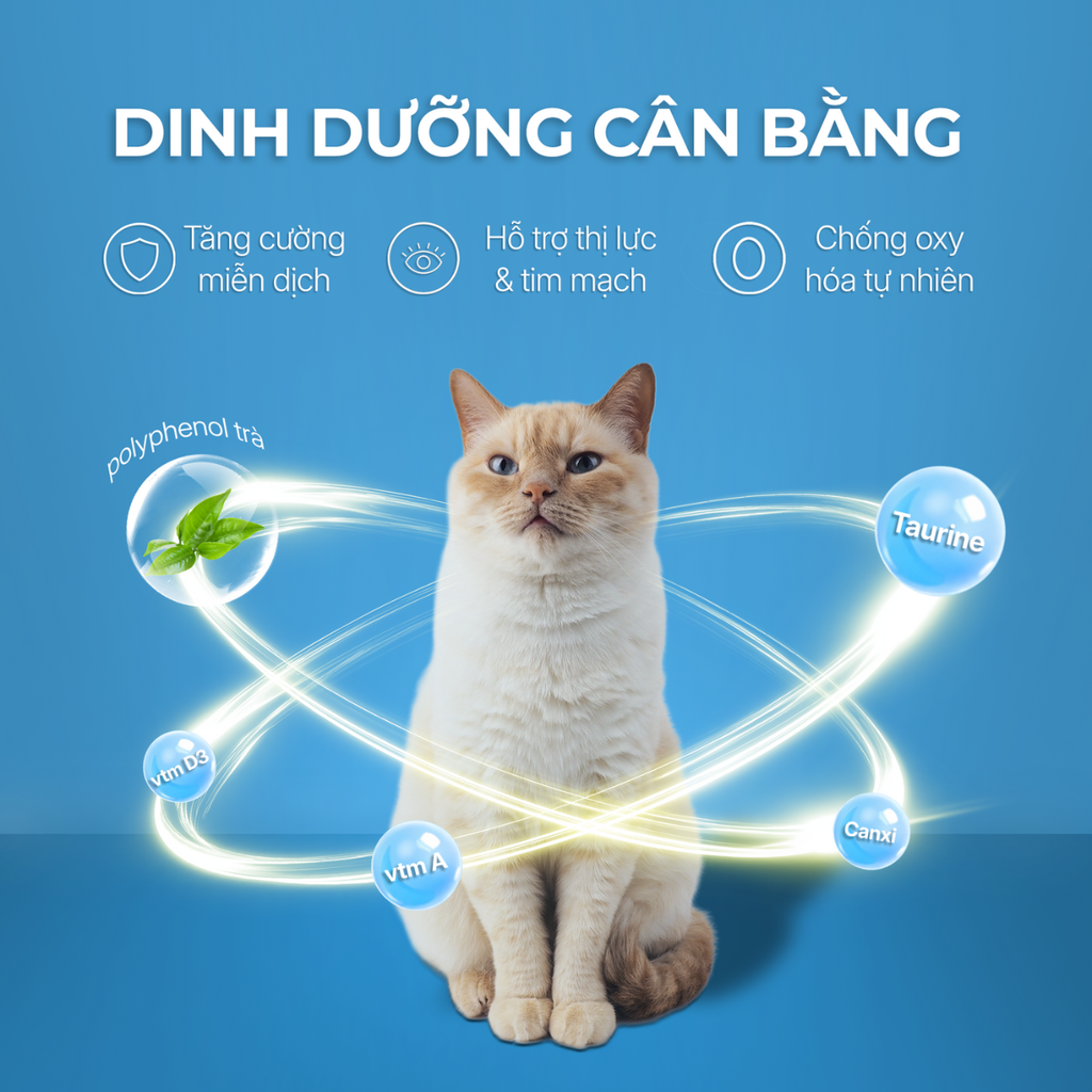 Súp thưởng dòng Creamy cho mèo Faenbei