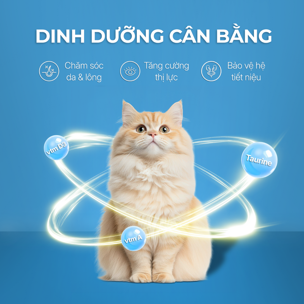 Pate lon hàm lượng thịt cao cho mèo Faenbei
