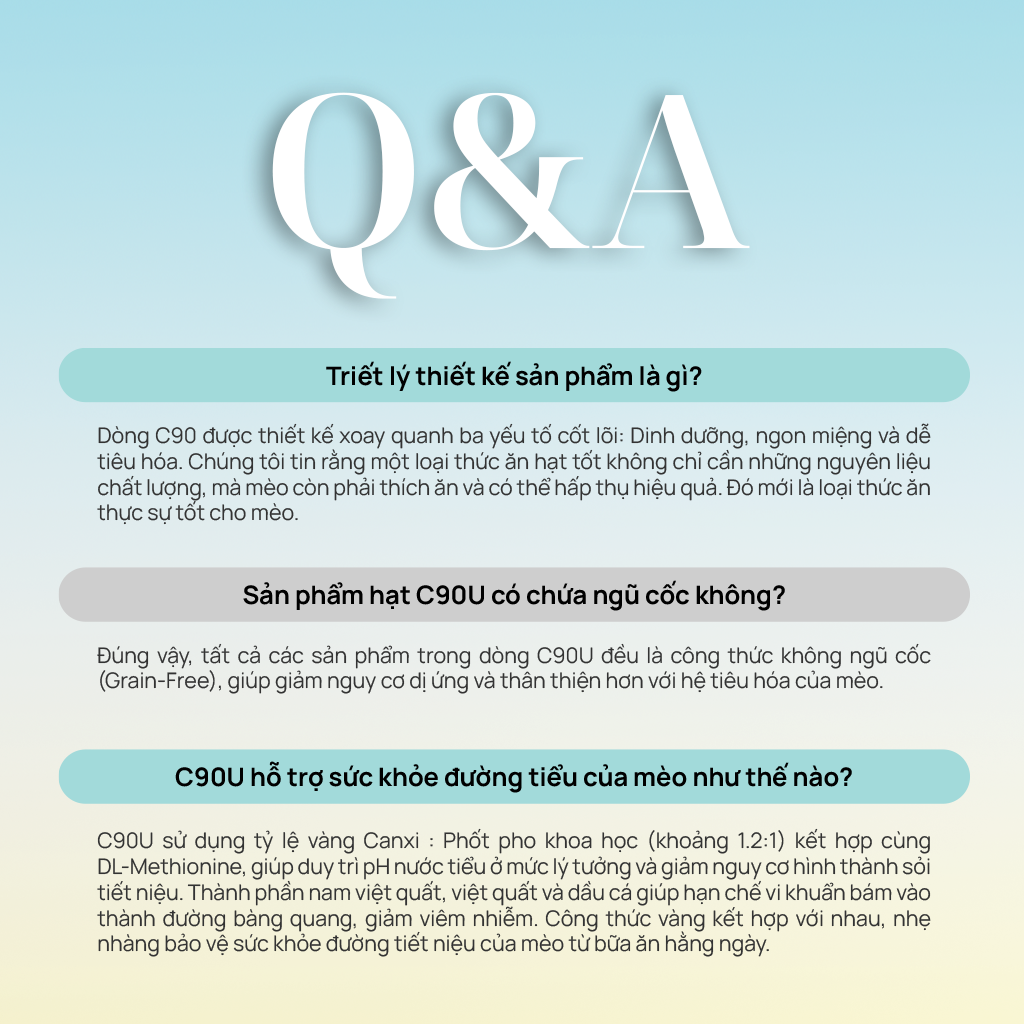 Thức ăn hạt cho mèo Churro C90U PetQ