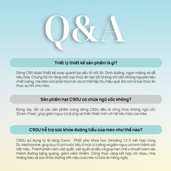 Thức ăn hạt cho mèo Churro C90U PetQ