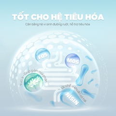 Thức ăn hạt Donut D90 PetQ