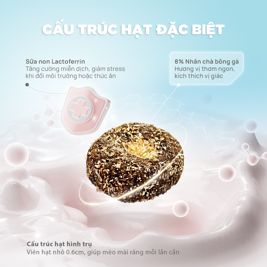 Thức ăn hạt Donut D90K PetQ