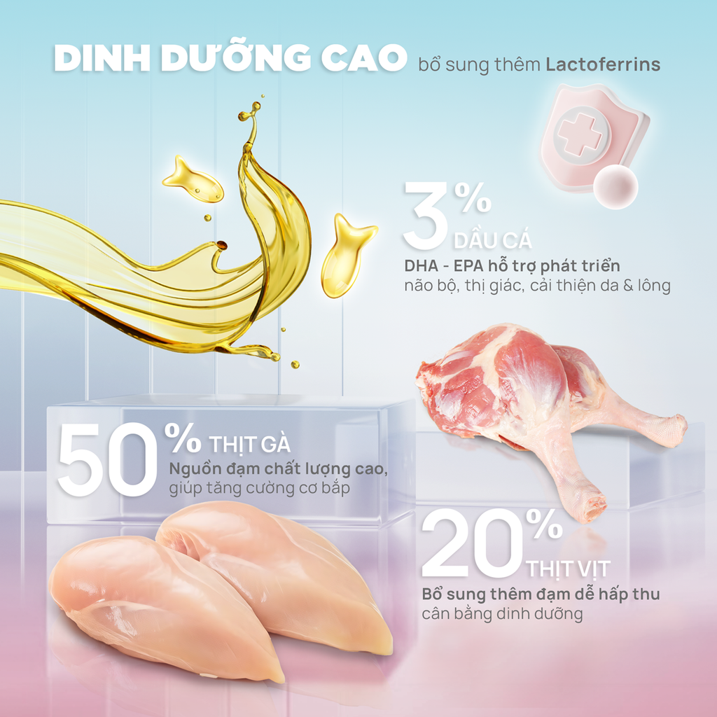 Thức ăn hạt Donut D90K PetQ