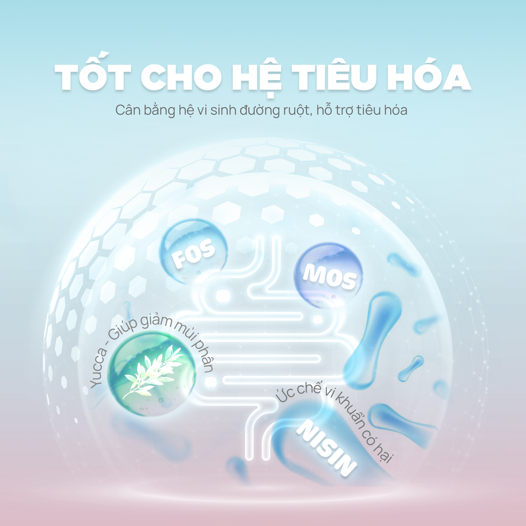 Thức ăn hạt Donut D90K PetQ