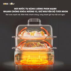 Nồi hấp điện đa năng Bear DZG-P20W7 (21.5L)