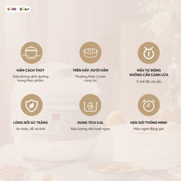 Nồi nấu chậm Bear 0.8L DDZ-A08T8