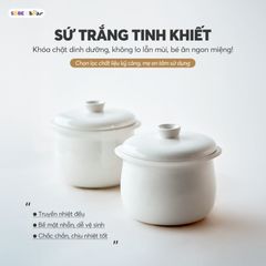 Nồi nấu chậm Bear 0.8L DDZ-A08T8