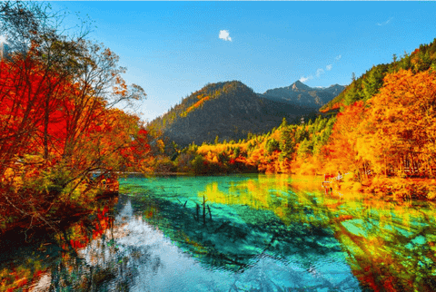 Tour Trung Quốc: Thành Đô - Cửu Trại Câu - Đô Giang Yển | 6 ngày 5 đêm