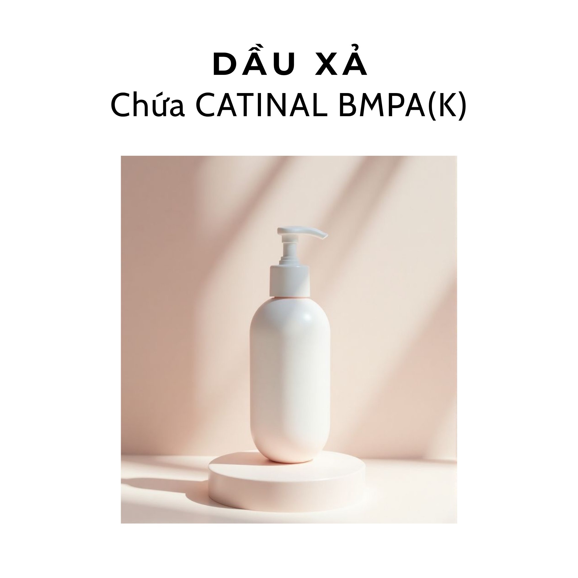  Dầu xả (6) - Chứa CATINAL BMPA(K) 