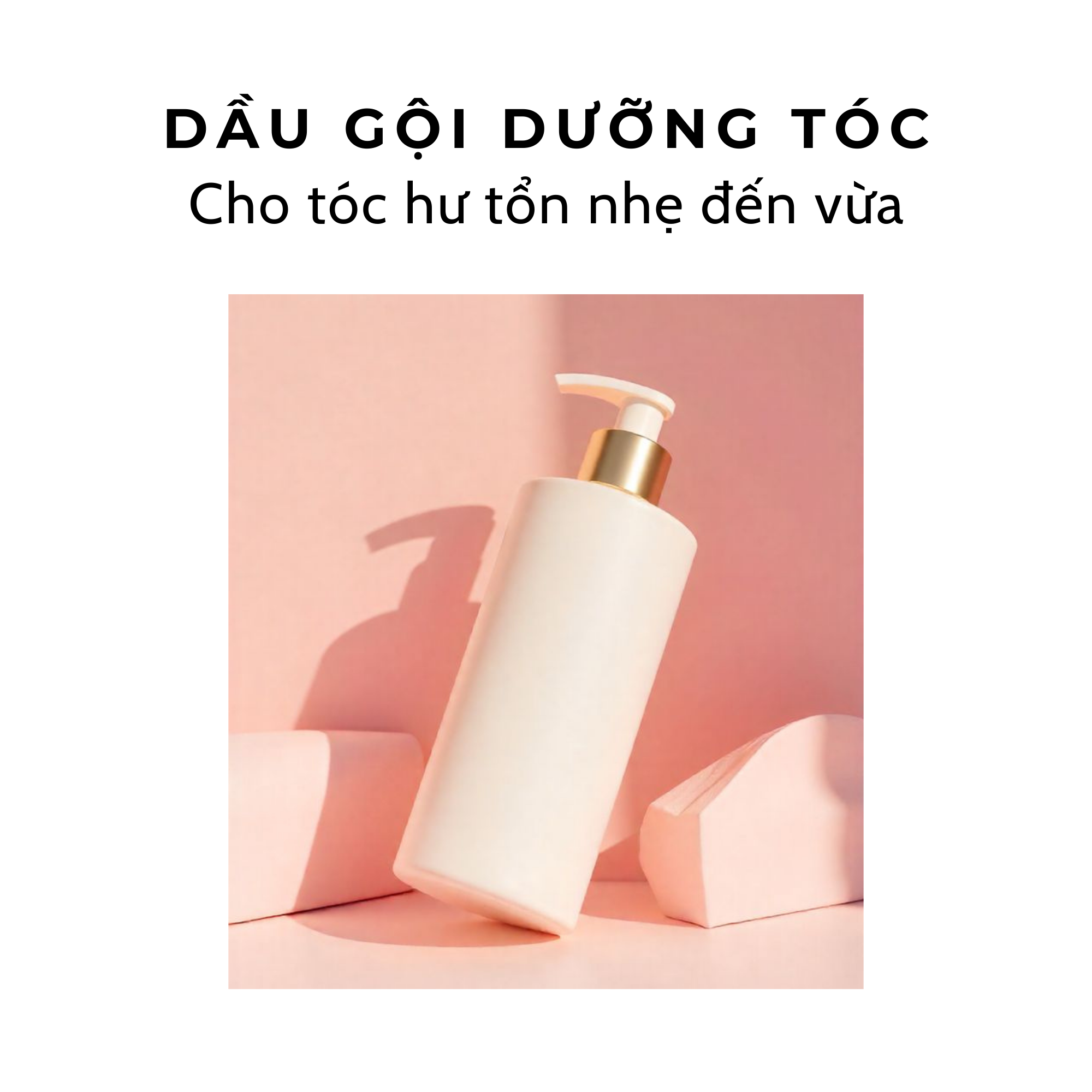  Dầu gội dưỡng tóc (2) – Dành cho tóc hư tổn nhẹ đến vừa 