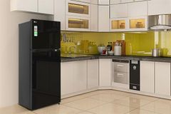 Tủ lạnh LG Inverter 217 lít T21BG