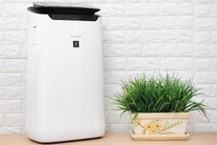 Máy lọc không khí Sharp FP-J60E-W 38W