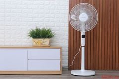 Quạt cây 9 cánh DC inverter TOSHIBA F-LSD10(W)VN