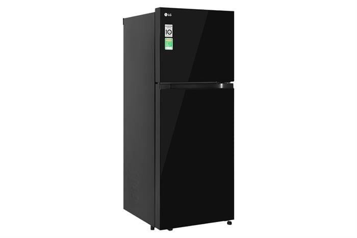 Tủ lạnh LG Inverter 217 lít T21BG