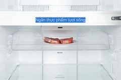 Tủ lạnh Toshiba Inverter 411 lít GR-RT559WE-PMV(58)-MM