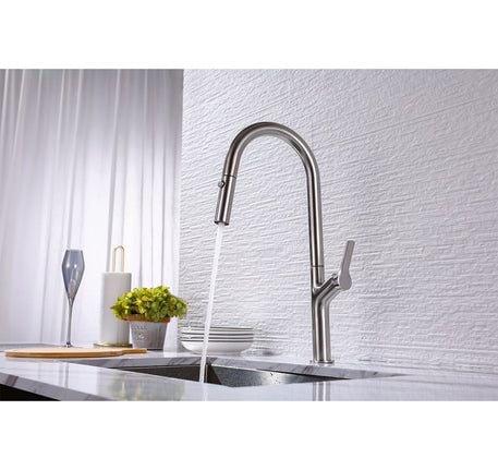 Vòi bếp Hafele LUX-P HT25-SH1F449