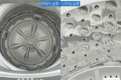 Máy giặt Casper 7.5 kg WT-75NG1