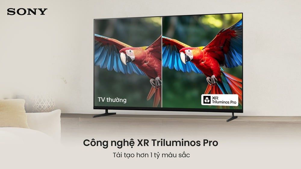 Google Tivi Sony 4K 65 inch K-65XR30M2