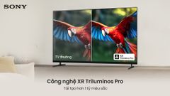 Google Tivi Sony 4K 65 inch K-65XR30M2
