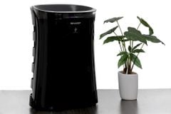 Máy lọc không khí Sharp FP-GM50E-B 51W