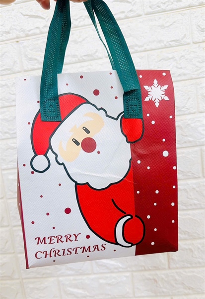  Gift Túi quà giáng sinh 