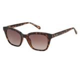  Kính Fossil Brown Cat Eye Ladies Sunglasses FOS 2126/G/S 0086 HA 