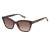  Kính Fossil Brown Cat Eye Ladies Sunglasses FOS 2126/G/S 0086 HA 